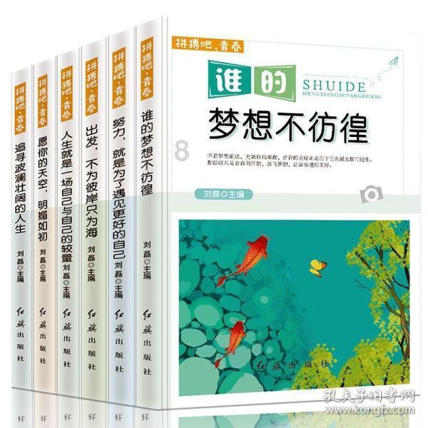 哥特舰队