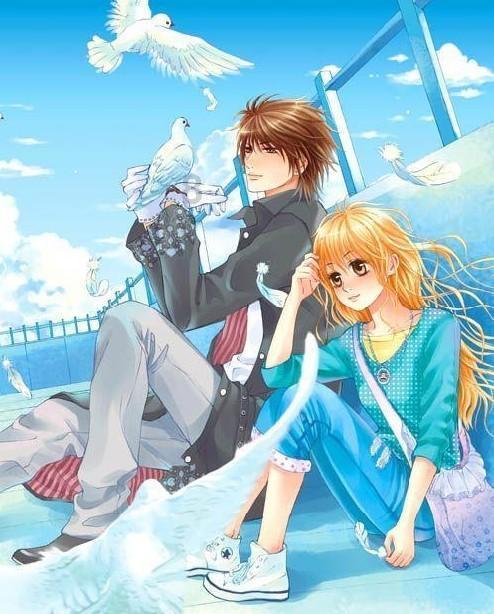 小猫钓鱼正版下载中文版