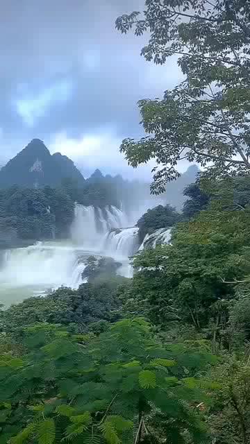 全民烧脑3去广告版